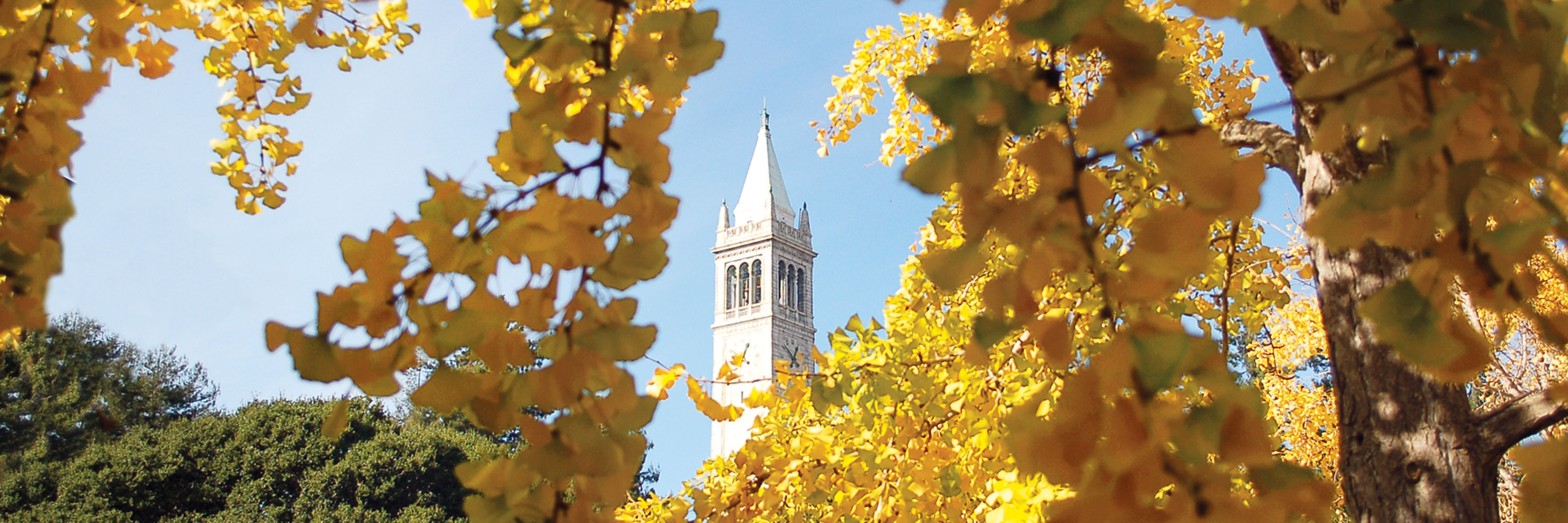 UC Berkeley Campanile