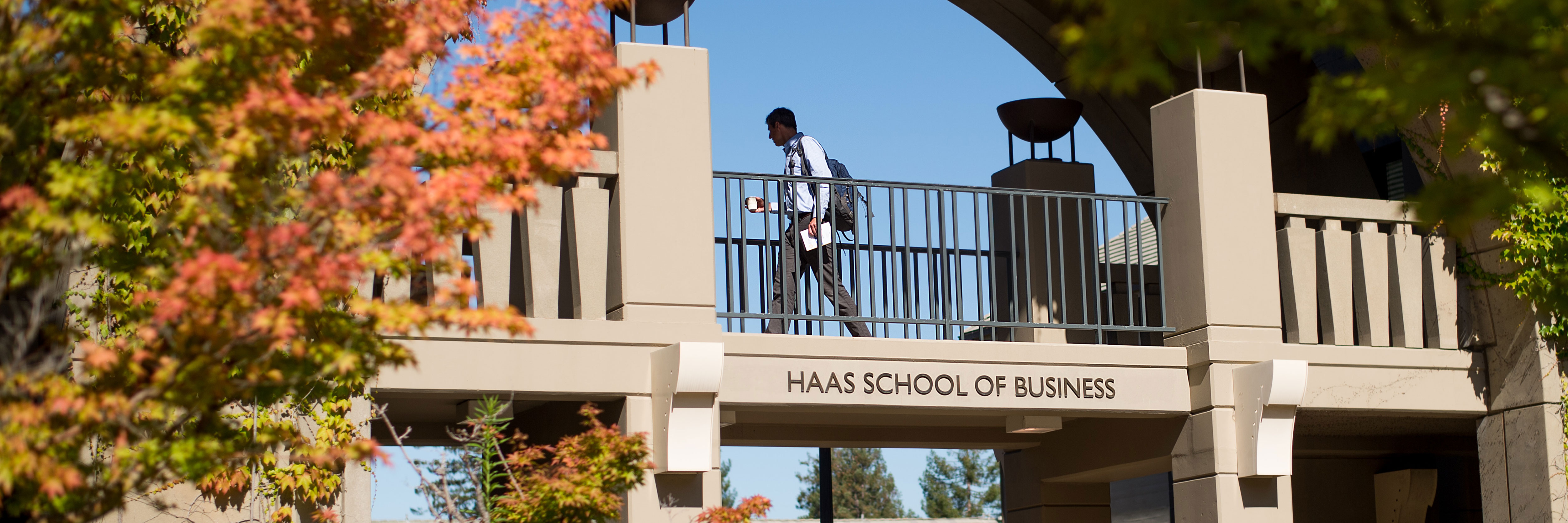 The Haas Building